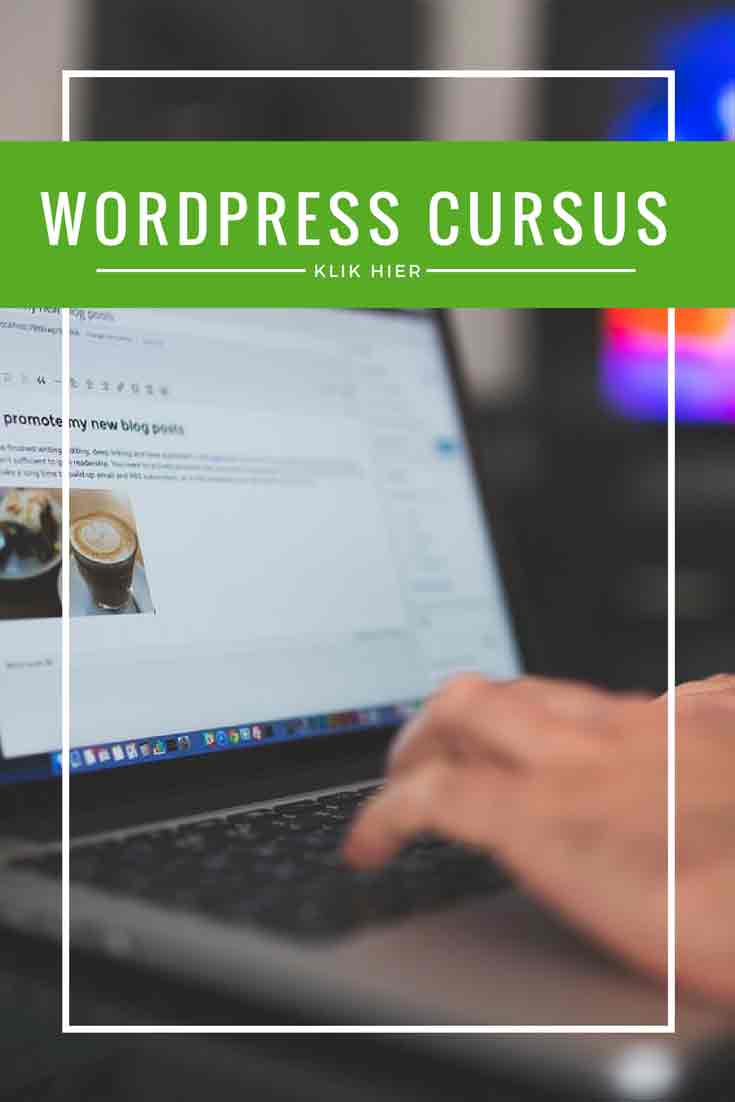 WordPress cursus - leer stap voor stap om een professionele en gebruikersvriendelijke website mèt webshop te maken